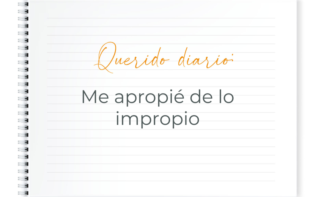 querido diario: me apropié de lo impropio