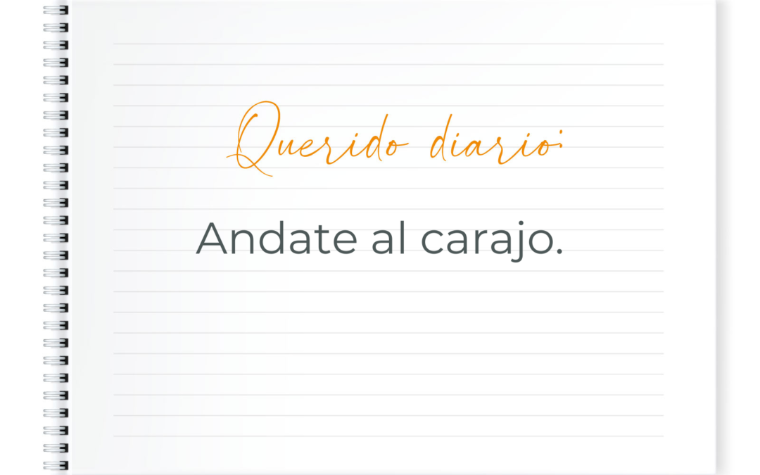 Querido diario: Andate al carajo